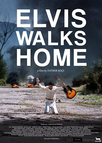 Elvis Walks Home movie poster