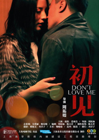 初见 movie poster
