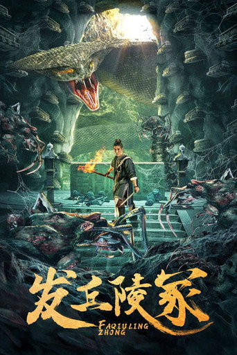 发丘陵冢 movie poster