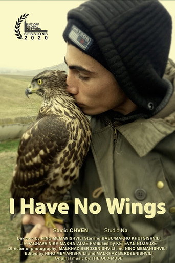 I Have No Wings movie poster