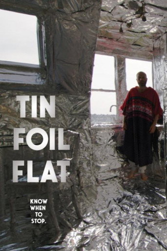 Tin Foil Flat movie poster