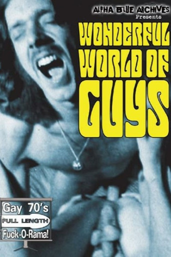 The Wonderful World of Guys movie poster