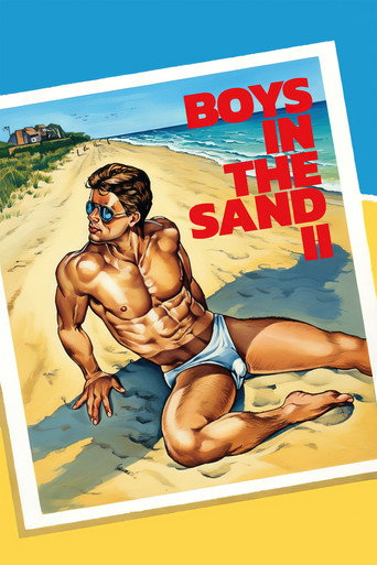 Boys in the Sand II movie poster