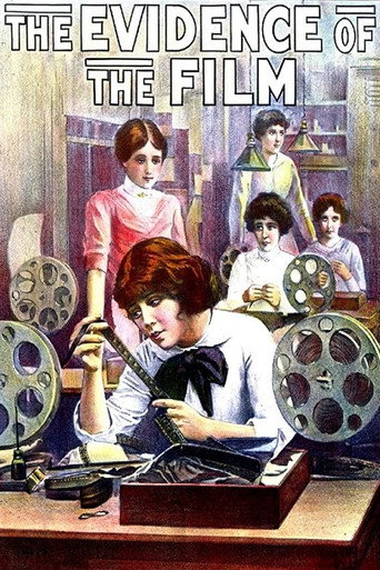 The Evidence of the Film movie poster