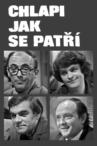 Chlapi jak se patří movie poster