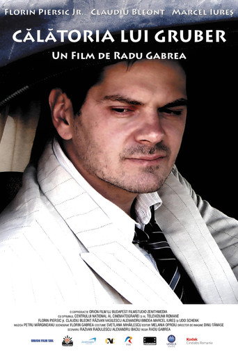 Gruber's Journey movie poster