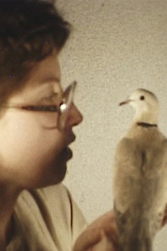 Bird movie poster