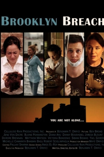 Brooklyn Breach movie poster