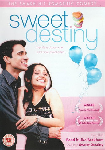 Pink Ludoos movie poster