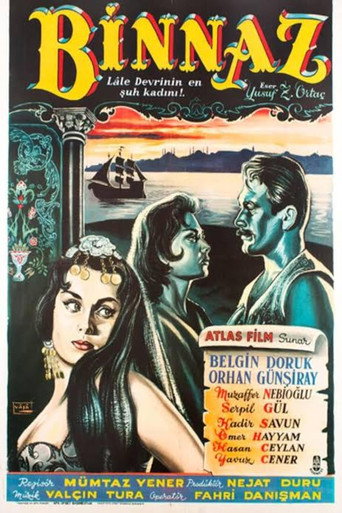 Binnaz movie poster