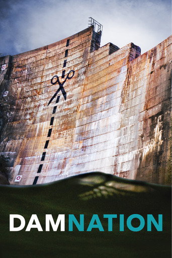 DamNation movie poster