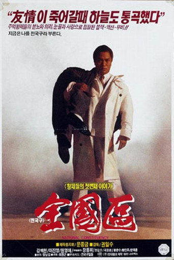 The Nationwide Constituency movie poster