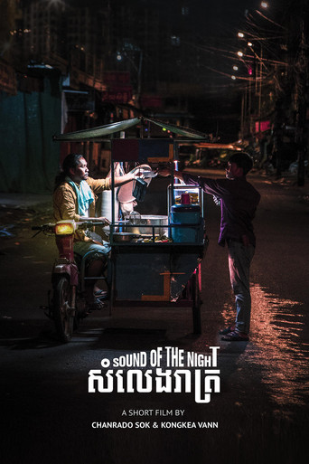 Sound of the Night movie poster