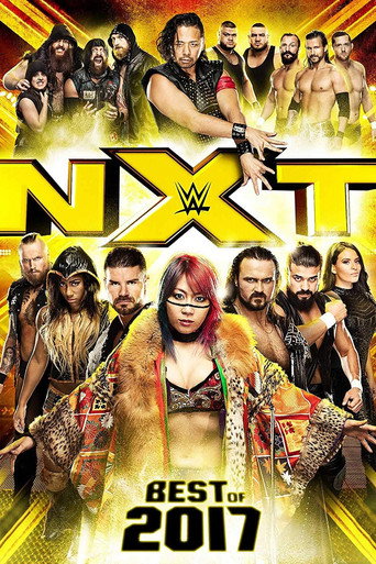 NXT: Best of 2017 movie poster