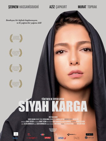 Black Crow movie poster