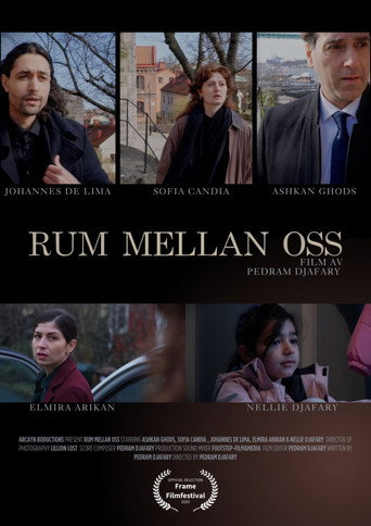 Room between us movie poster