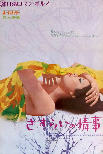 Drifter's Affair movie poster