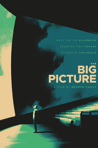 The Big Picture movie poster