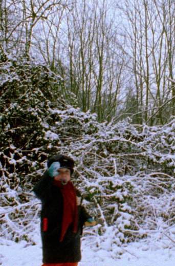 Snowflakes movie poster