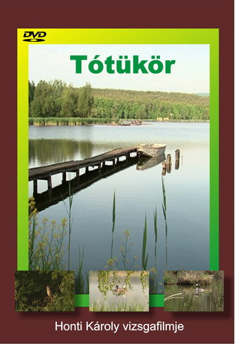 Tótükör movie poster