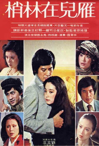 The Wild Goose on the Wing movie poster