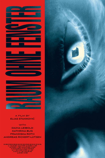 Room without Windows movie poster