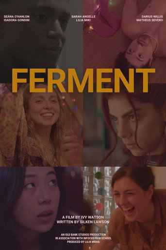 Ferment movie poster