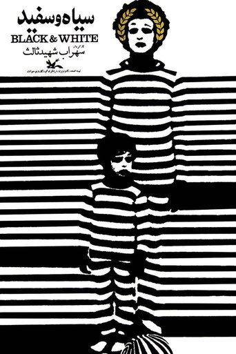 Black and White movie poster