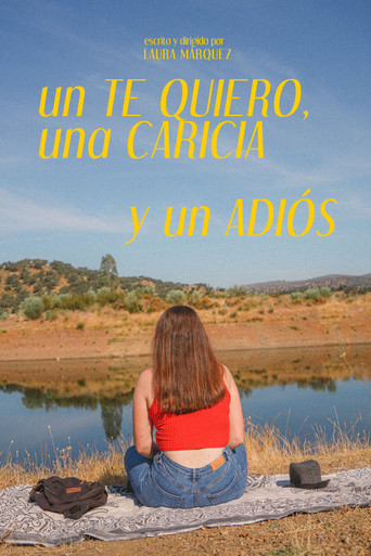 Un te quiero, una caricia y un adiós movie poster