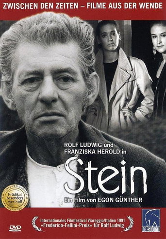 Stein movie poster