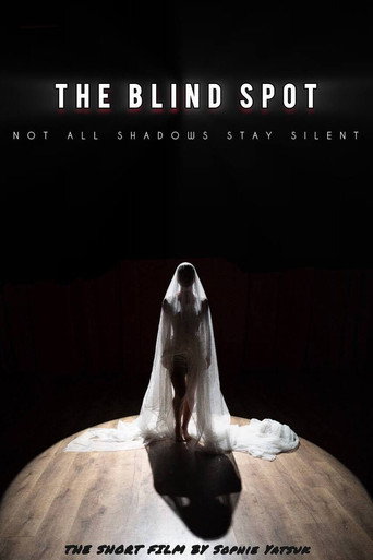 The Blind Spot movie poster