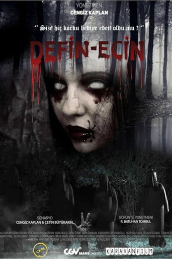 Defin-Ecin Zulman movie poster