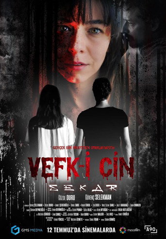 Vefk-i Cin Sekar movie poster