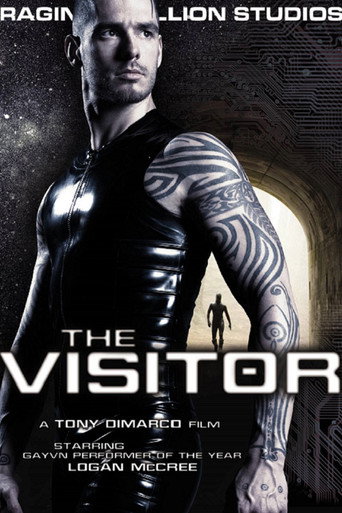 The Visitor movie poster
