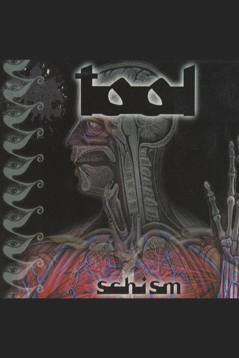 TOOL - Schism movie poster