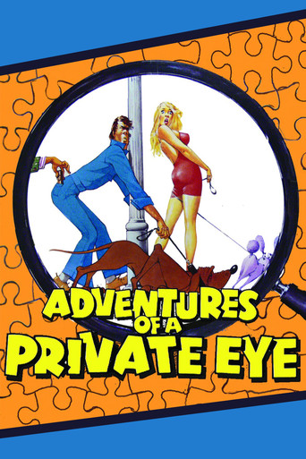 Adventures of a Private Eye movie poster