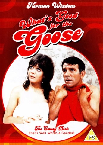 What's Good for the Goose movie poster
