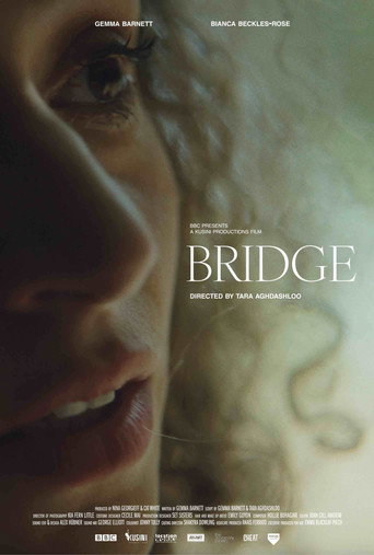 Bridge movie poster