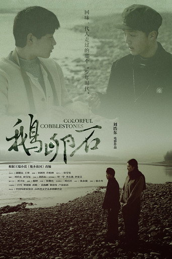Colorful Cobblestones movie poster