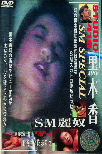 SM麗奴 movie poster