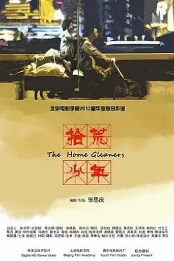 拾荒少年 movie poster