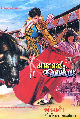The Extraordinary Matador movie poster