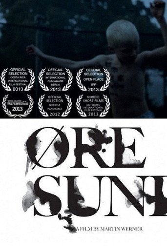 Øresund movie poster