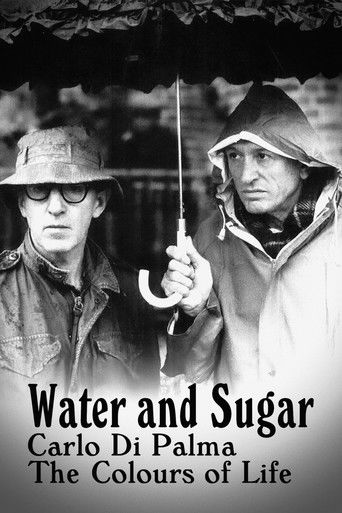 Water and Sugar – Carlo Di Palma: The Colours of Life movie poster