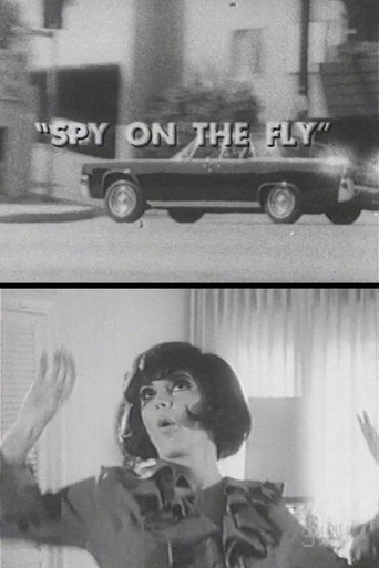 Spy on the Fly movie poster