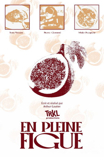 En pleine figue movie poster
