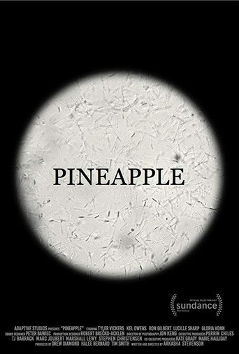 Pineapple movie poster