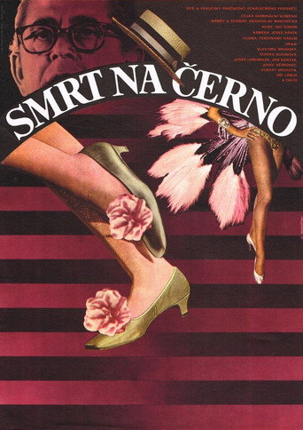Smrt na černo movie poster