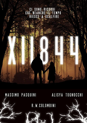 XII844 movie poster