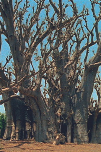 Baobab movie poster